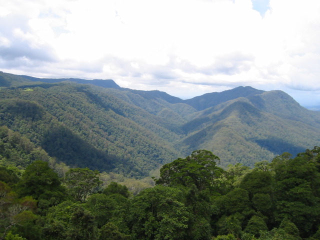 dorrigo landscape.jpg