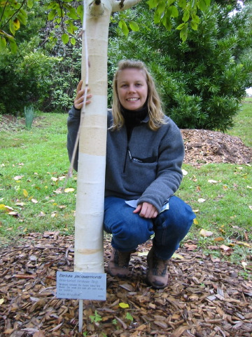 jen+himalayan_birch.jpg