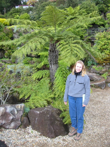 jen+tree_fern.jpg