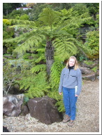 Jen+Tree_Fern.jpg